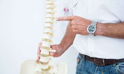 Your Spine 101, Chiropractor in EXETER, NH