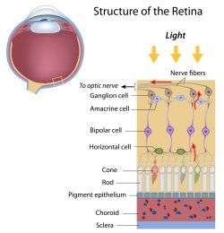 Detached Retina, Optometrist in Chicago, Illinois