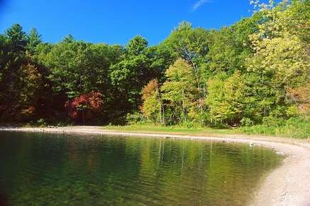 Image of Walden Pond. 