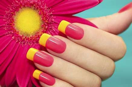 Image of manicured fingers holding a flower.