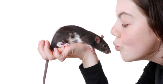Image of a woman kissing a pet rat. 