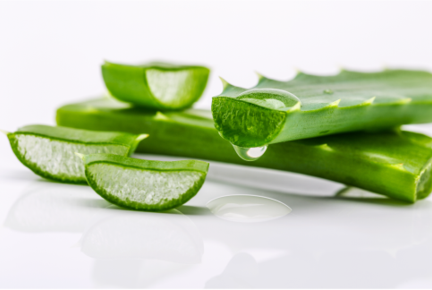 Image of sliced aloe vera leaves. 