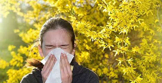 Image of woman blowing her nose. 