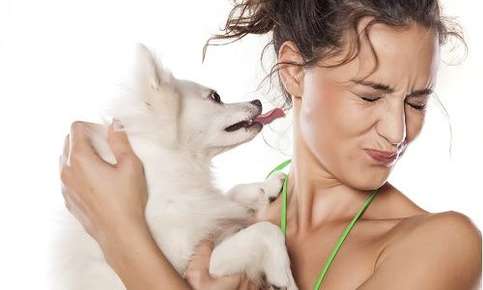 Why Does My Dog Lick Me?