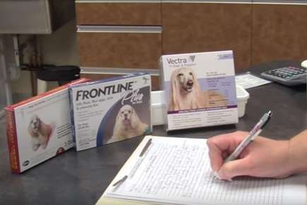 Image of a hand writing on a piece of paper with boxes of flea products in the background.