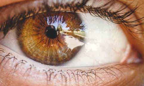 Human eye cornea