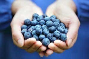 image of a handful of blueberries.