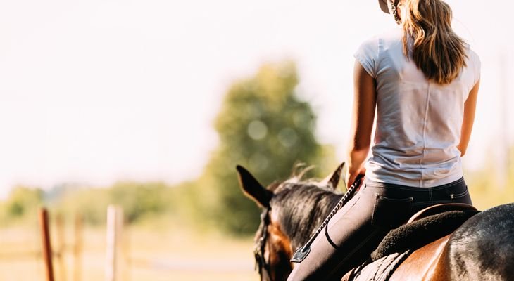 person riding horse