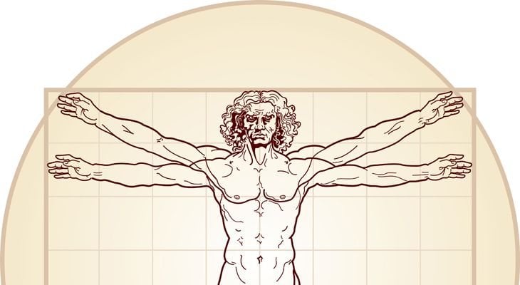 The Vitruvian man