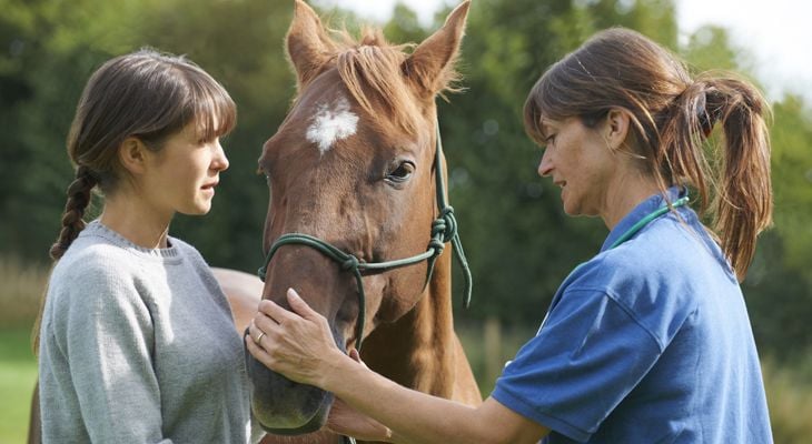 owner and vet with horse