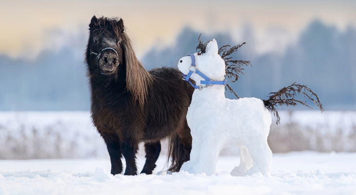 Pony stands beside snowhorse.