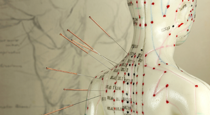 Instructional acupuncture dummy