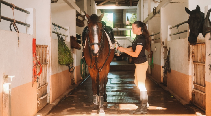 Woman spends time with horse.