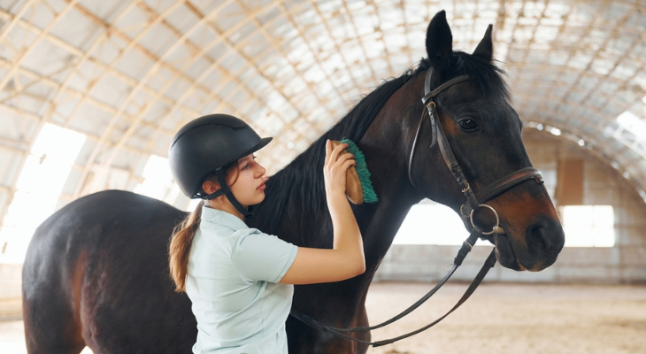 Woman brushes her horse.