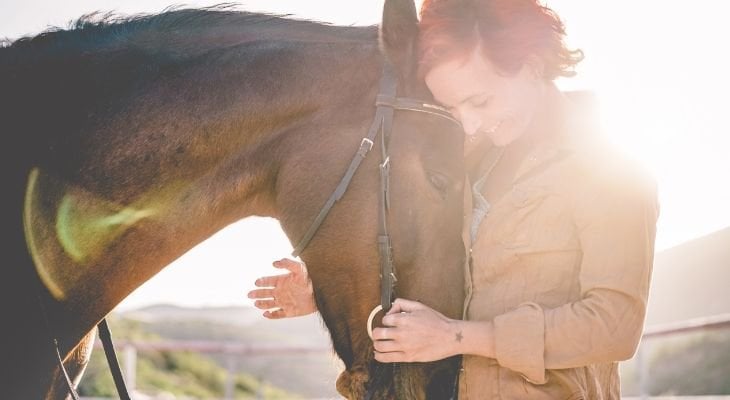 horse embraced with owner