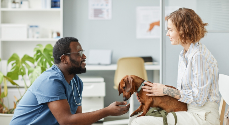 Veterinarian interacts with dog and owner