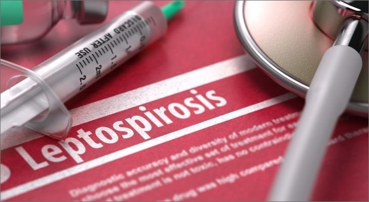 leptospirosis