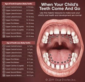 Kids mouth anatomy.