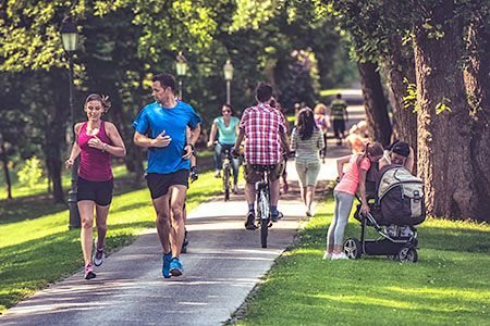 Lifestyle Chiropractic Basalt Aspen Carbondale