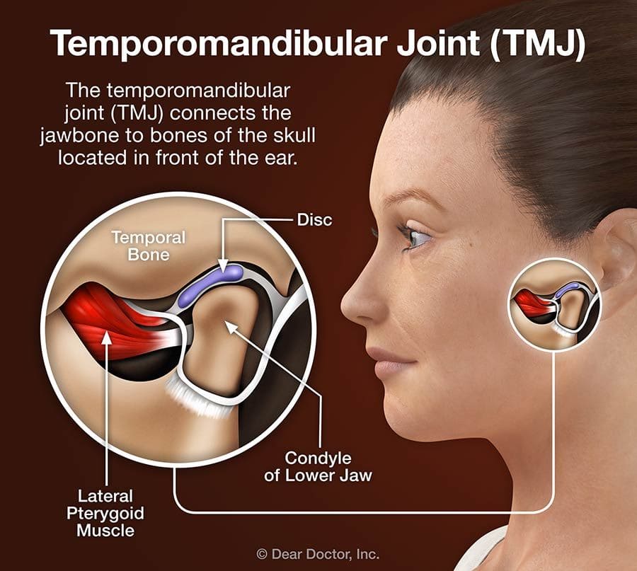 Tmj Disorders Chiropractor In Calumet City Il Es3 Fitness Rehab 0154