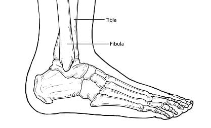 foot and ankle fracture in Philadelphia and Huntingdon Valley, PA 