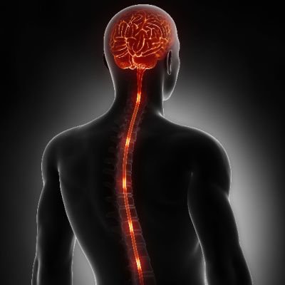 How A Spinal Cord Stimulator Can Alleviate Back Pain