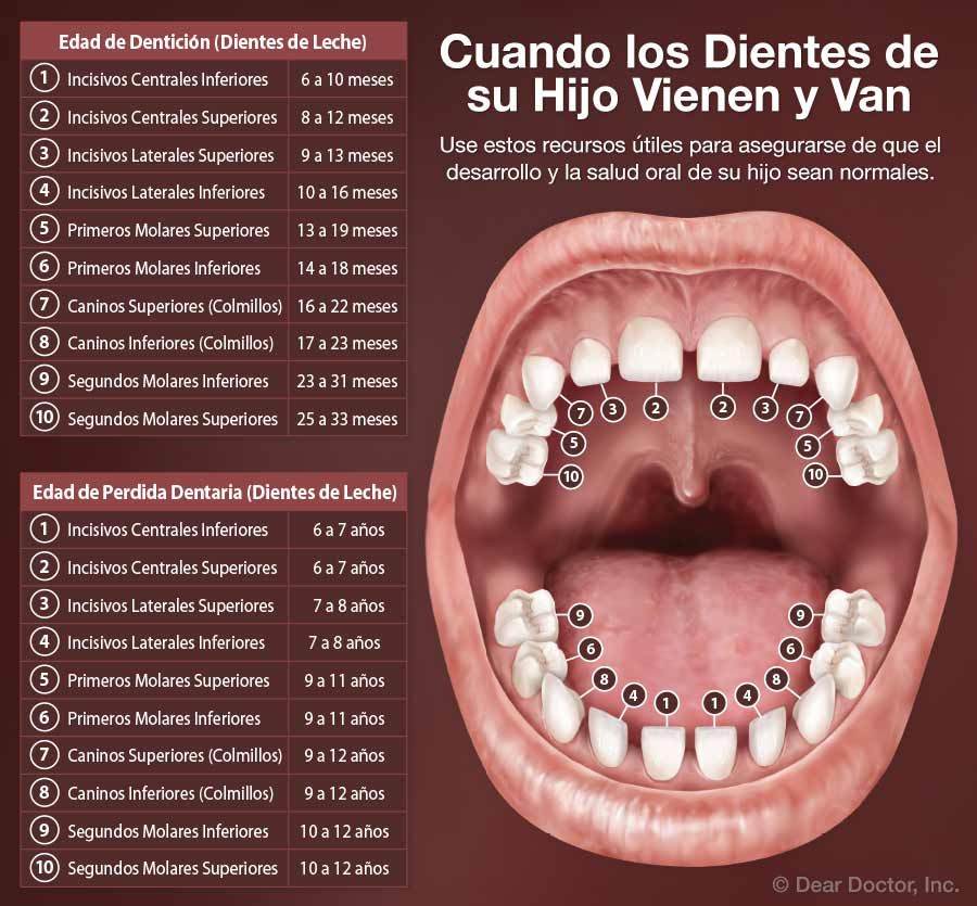 dentici-n-advanced-smiles-dental-p-a