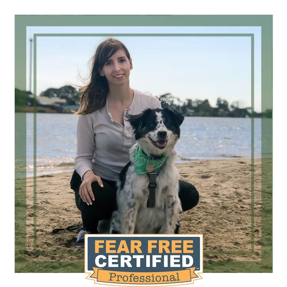 Ellen, Registered Veterinary Technician. Photo with dog on beach