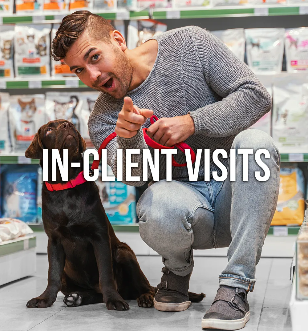 In-Client Visits