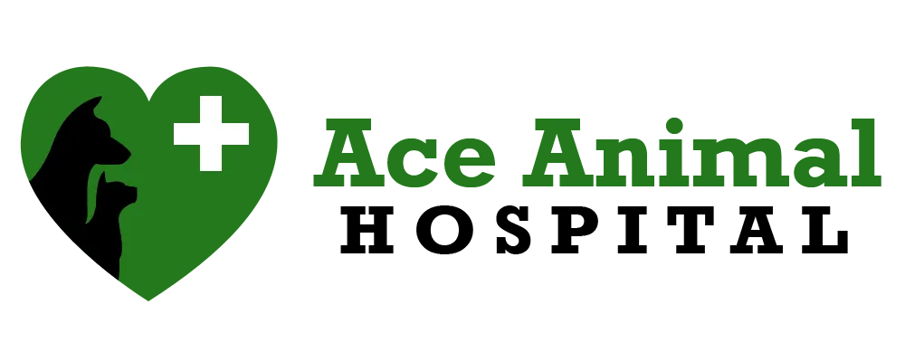 Ace Animal Hospital