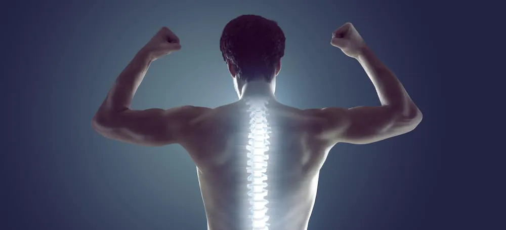 Elite Chiropractic & Wellness Center