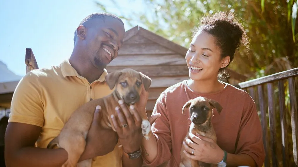 A couple holding dogs