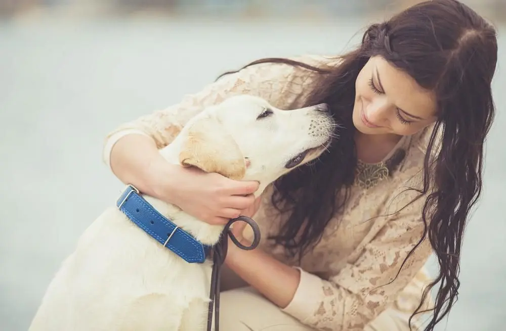 Puppy playing with owner outside.