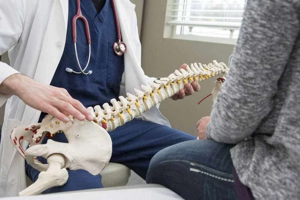 chiropractor holding a model of a spine