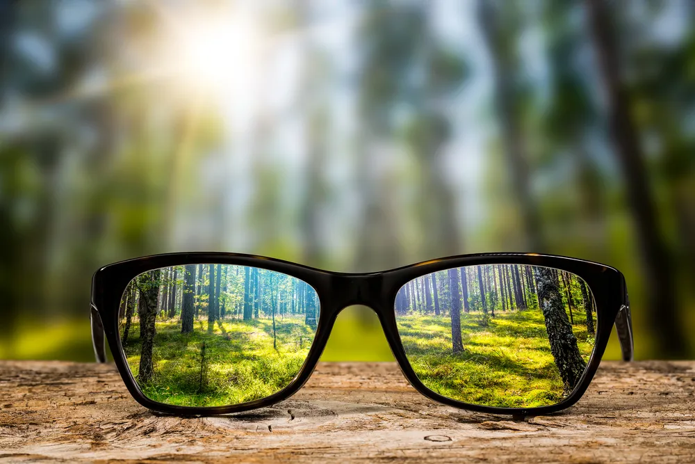 Which Eyeglasses Are Right for You? Find Out at Carolina Vision Care