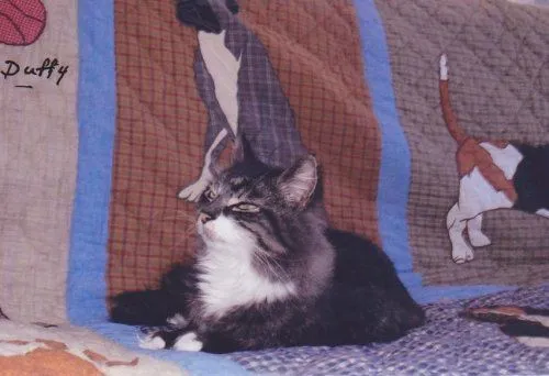 duffy_1.jpg