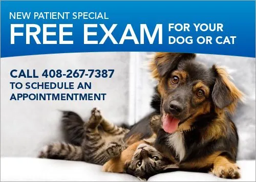 Animal Medical Center San Jose Coupon