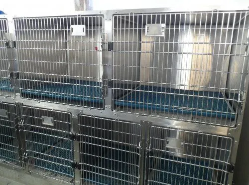 dog_cages.jpg