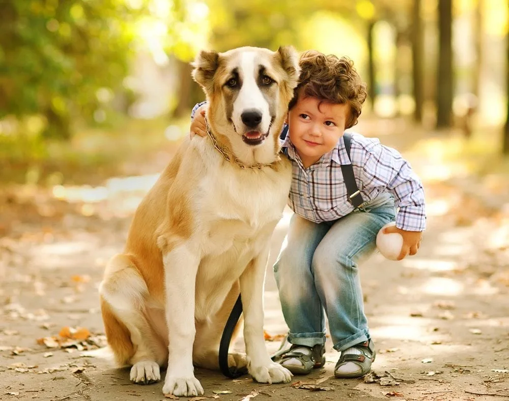 boy with microchipped pet