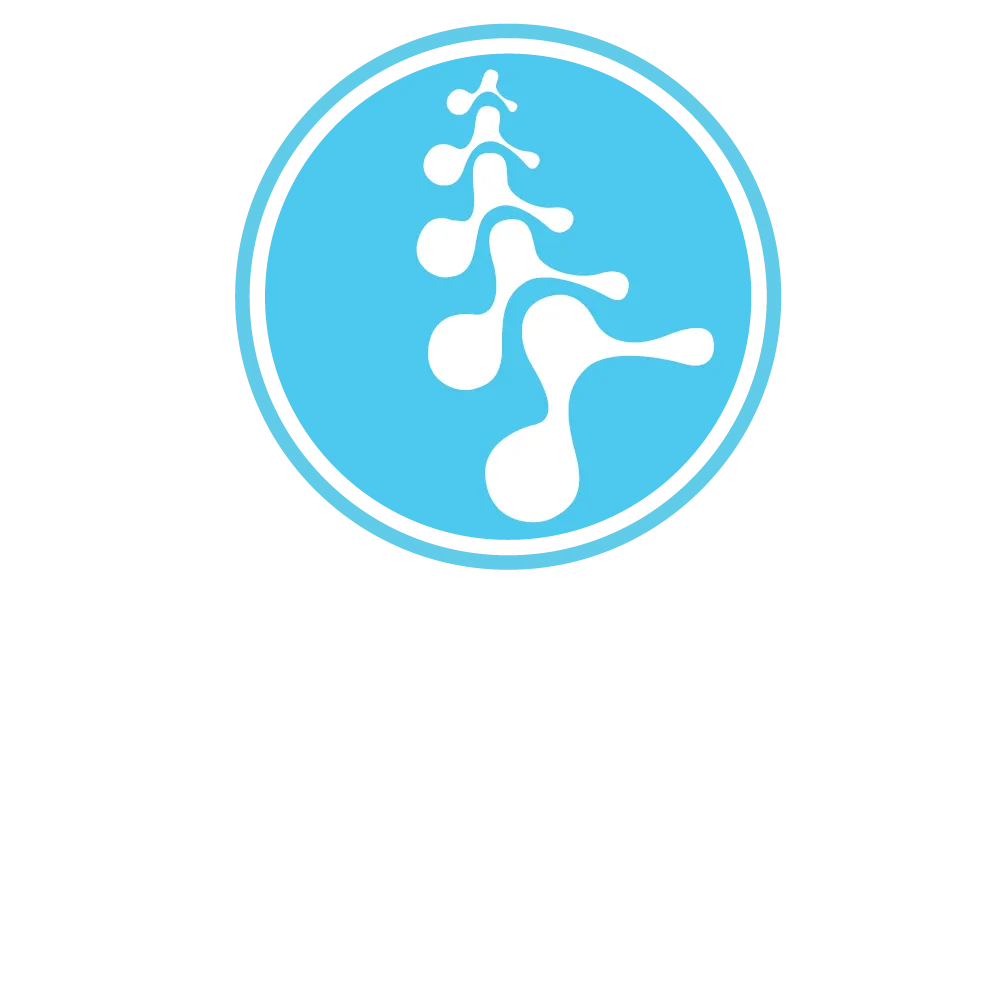 Back to Life Chiropractic Centre Logo