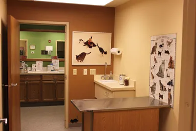 feline exam room