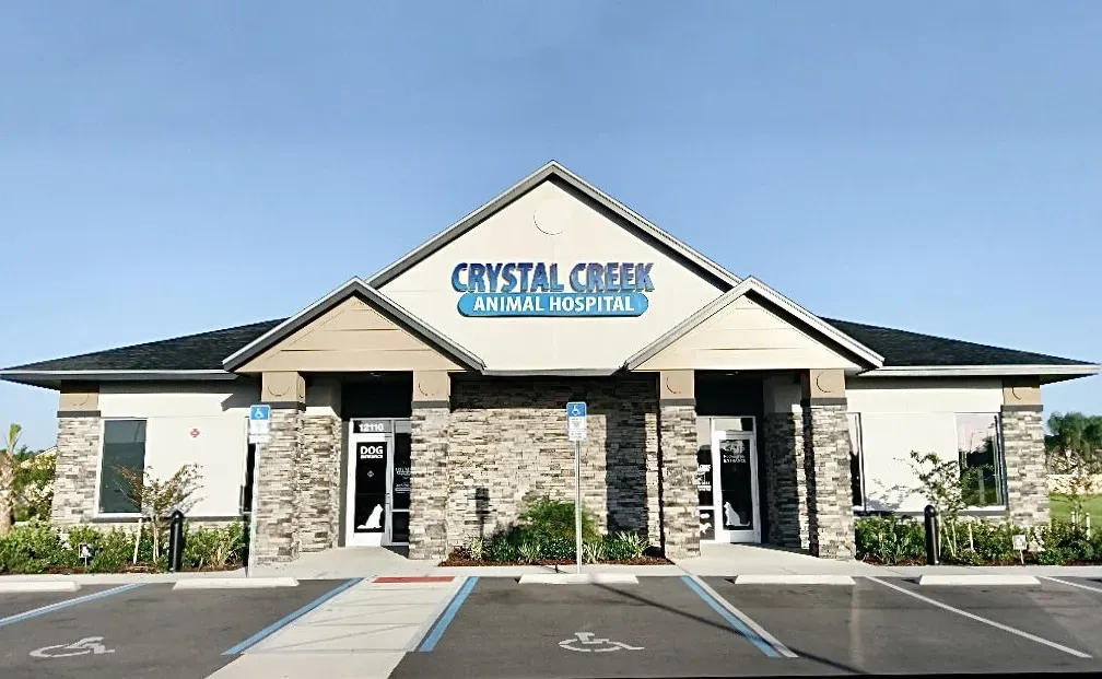 Crystal Creek Animal Hospital