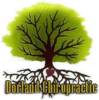 Dorland Chiropractic