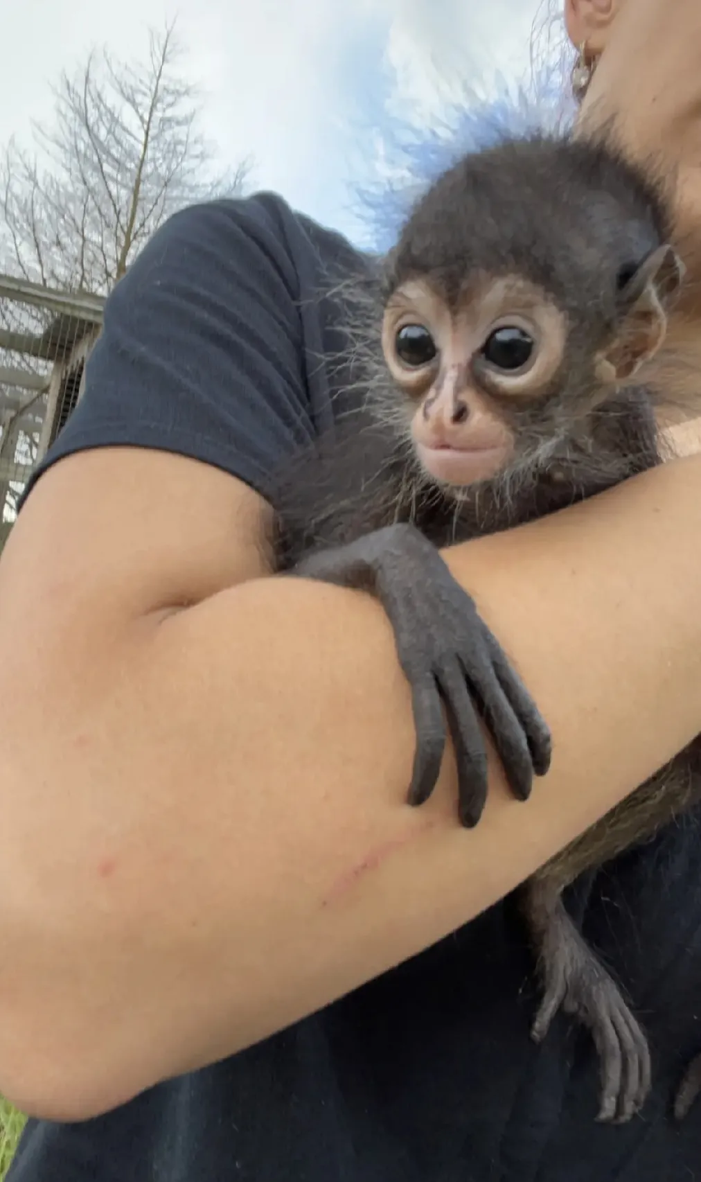 Safari Tails Staff Day 