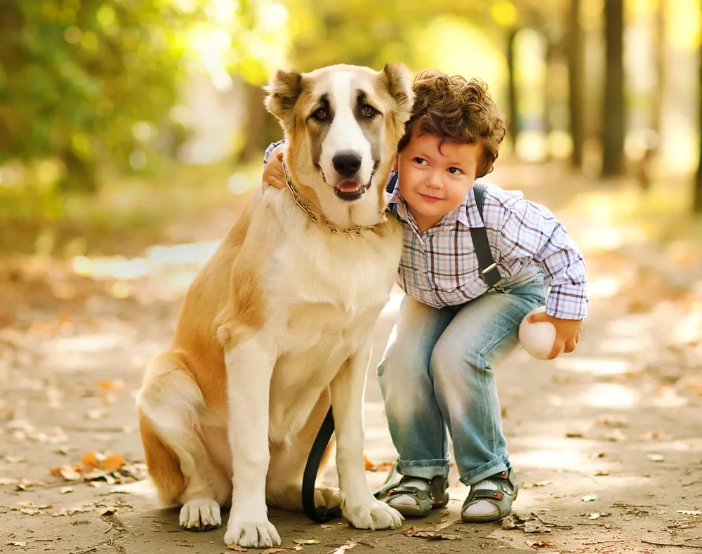 child with senior dog 