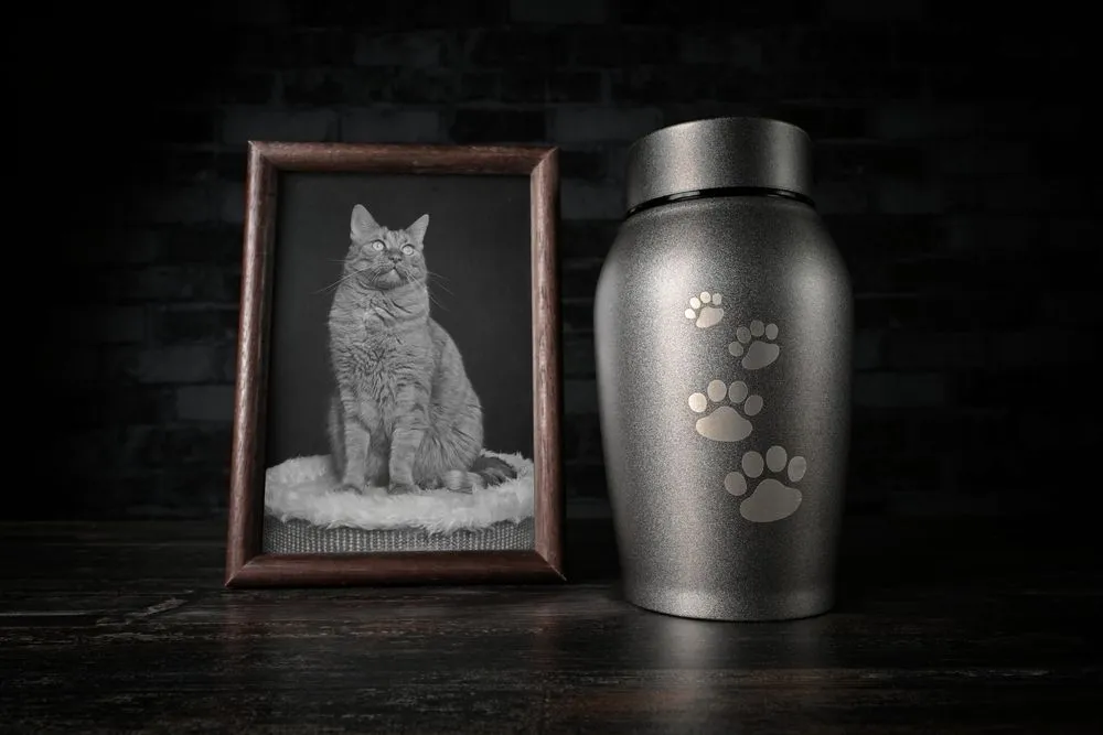 Pet Cremation
