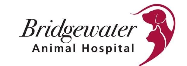 Bridgewater Animal Hospital