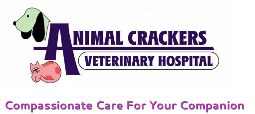 Animal Crackers Veterinary Hospital