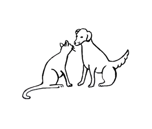 Animal Alliance of Galveston County logo