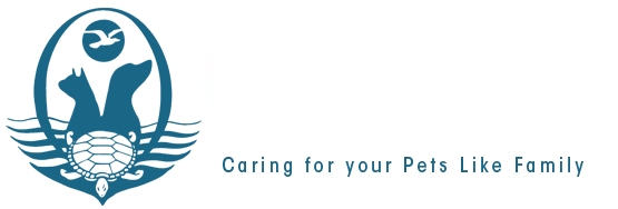 Oceanlake Veterinary Clinic